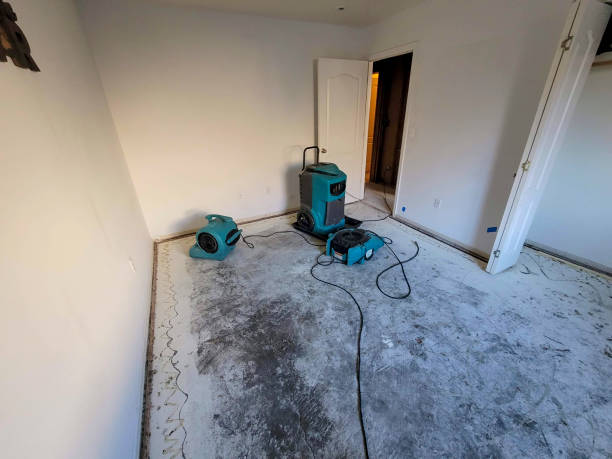 Local water damage restoration in WA
