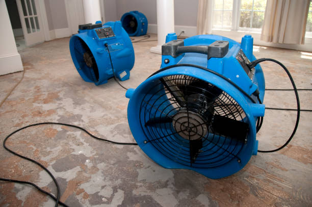 Best Flooded house restoration  in Spokane Valley, WA