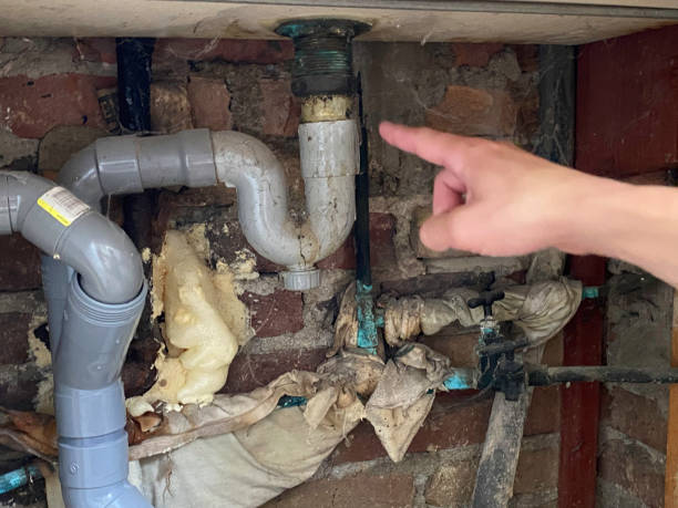 Best Flood damage cleanup  in Spokane Valley, WA