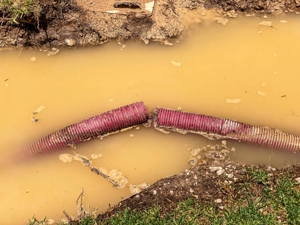 Best Water damage restoration process  in Spokane Valley, WA