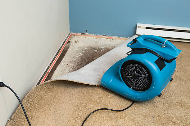 Best Residential water damage restoration  in Spokane Valley, WA